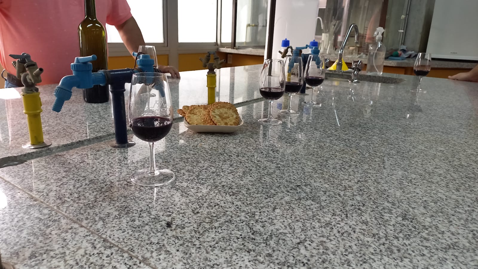 "Cátedra" el vino creado por estudiantes, docentes e investigadores de Ingeniería Química 