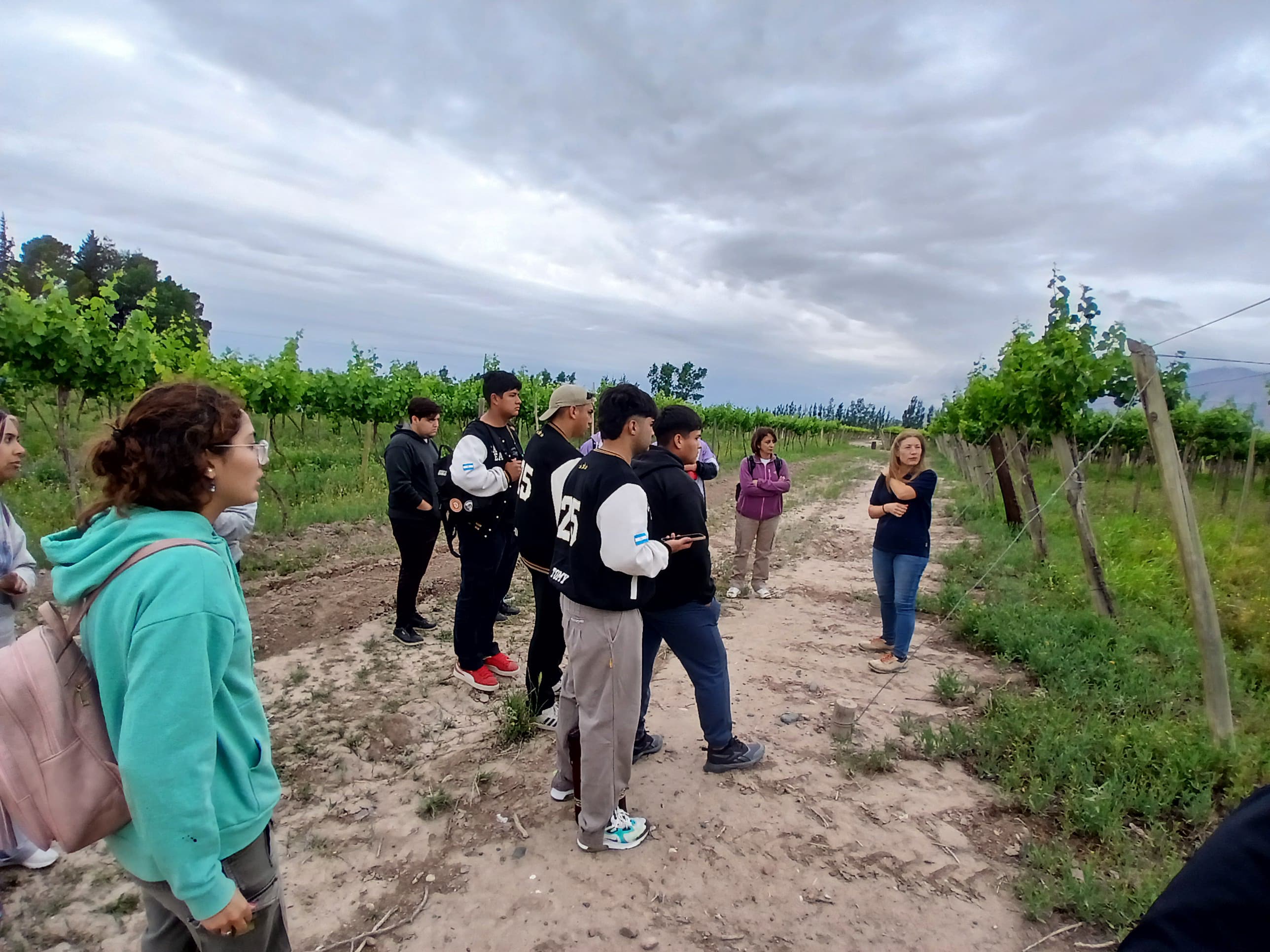 Estudiantes de Valle Fértil realizan prácticas profesionalizantes en la FI