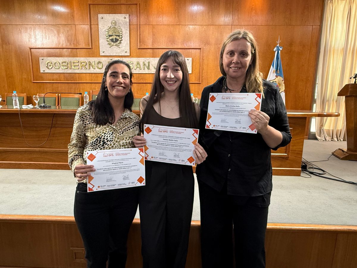 La FI recibió siete Premios Domingo Faustino Sarmiento de Ciencia e Innovación 2025