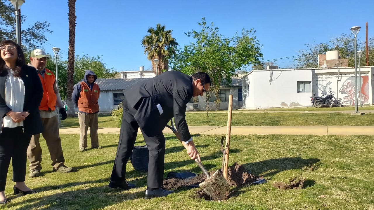 ﻿La Escuela Industrial obsequió a la Facultad de Ingeniería un retoño de la Higuera de Casa Natal de Sarmiento