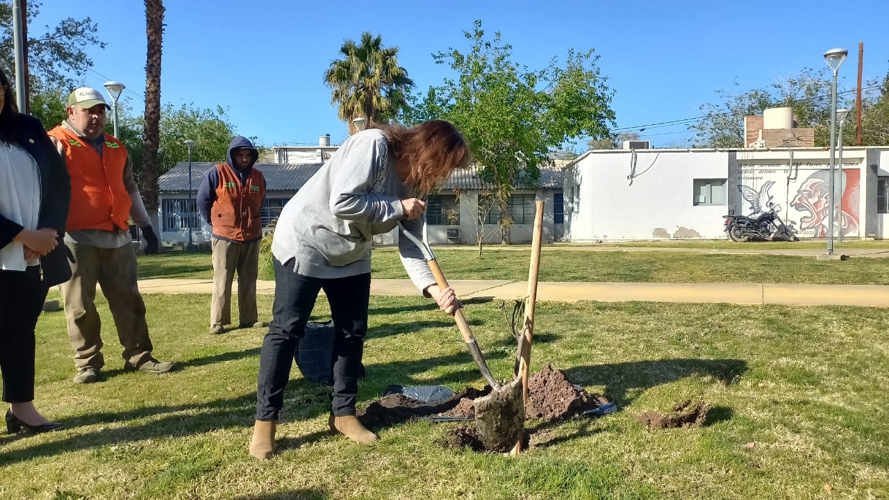 ﻿La Escuela Industrial obsequió a la Facultad de Ingeniería un retoño de la Higuera de Casa Natal de Sarmiento