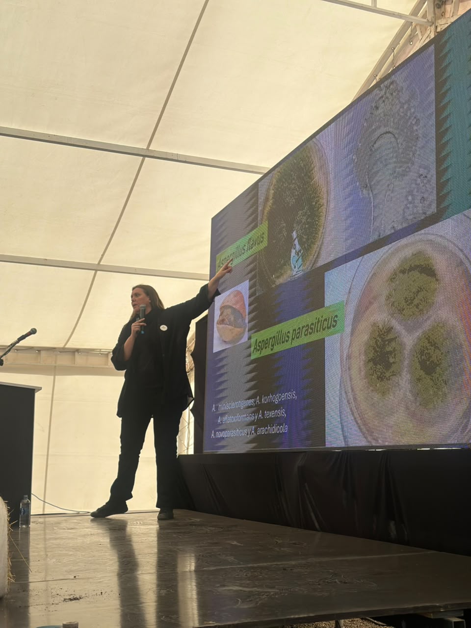 La Facultad de Ingeniería estuvo presente en la Expo Innova Cuyo 2026