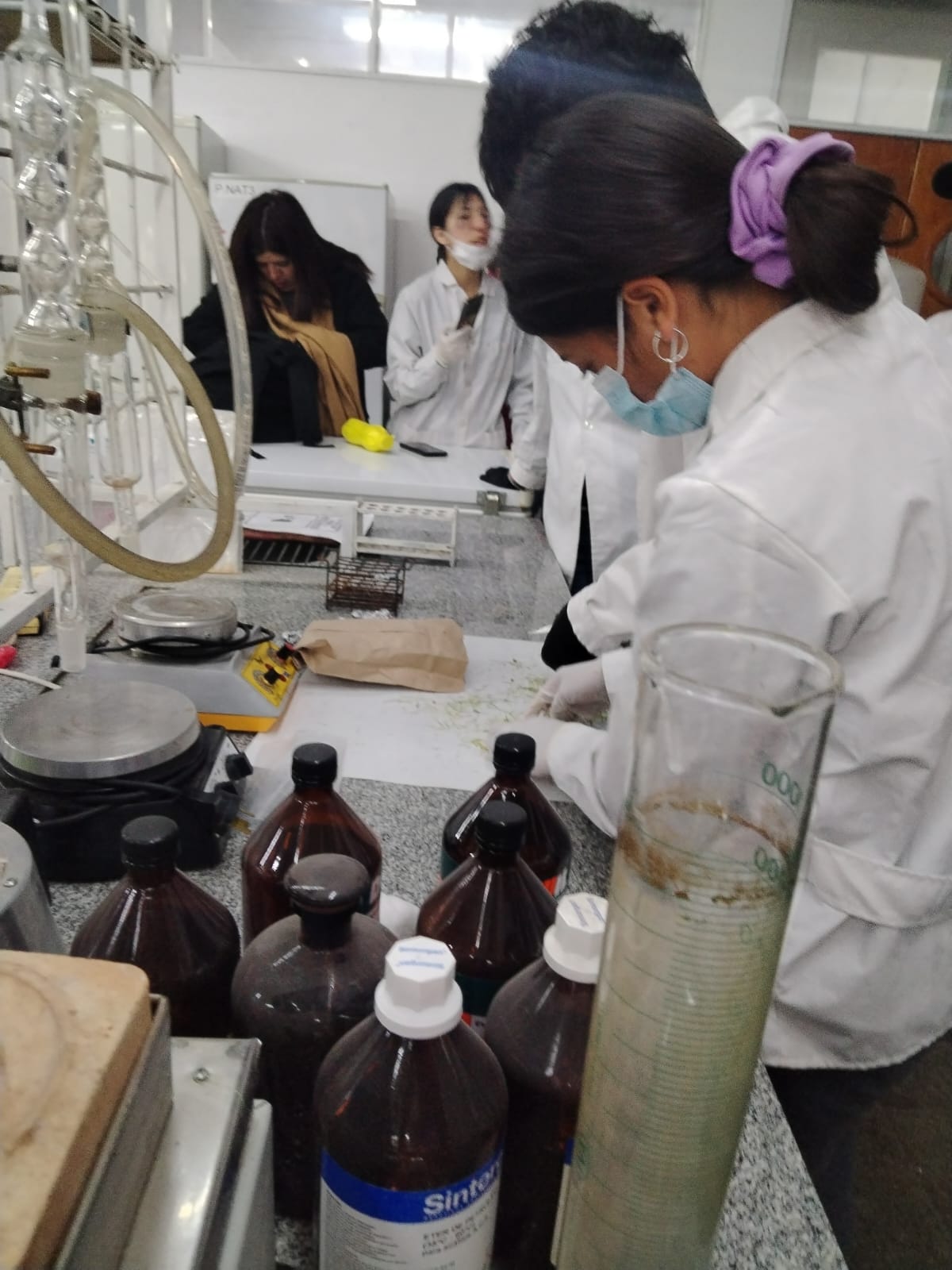 Estudiantes de Valle Fértil realizan prácticas profesionalizantes en la FI