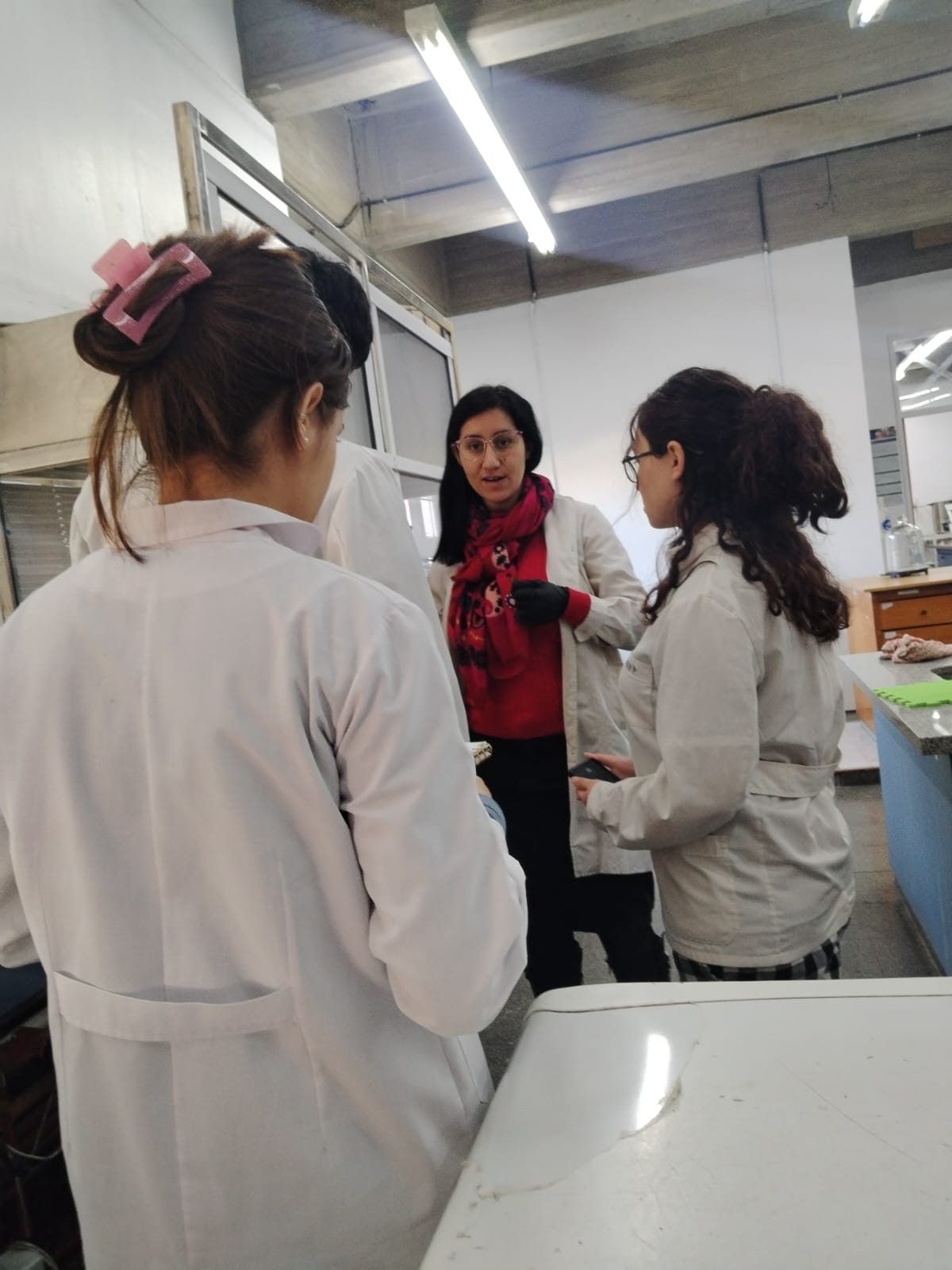 Estudiantes de Valle Fértil realizan prácticas profesionalizantes en la FI