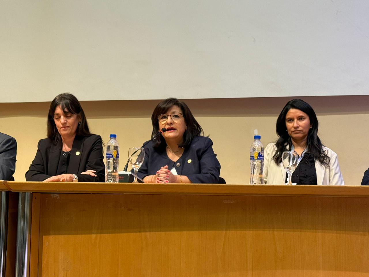 Exitosas Jornadas Argentinas de Tratamiento de Minerales